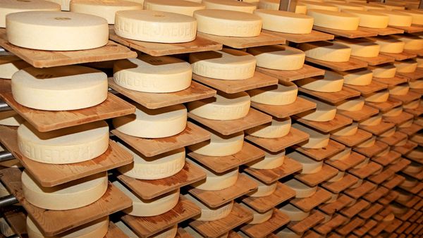 Seiler’s cheese storage with finest Obwalden cheese 